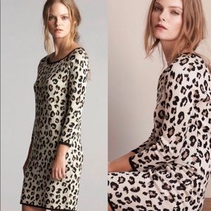 Velvet Cheetah Sweater Dress